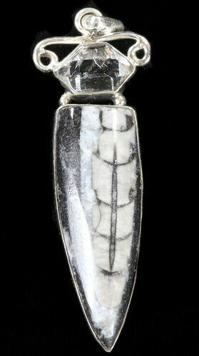 Fossil Orthoceras Pendant - Sterling Silver #37952